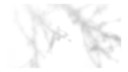 Obraz premium Frame with tree and leaf shadows, featuring grain and noise texture on a transparent background for your mockup
