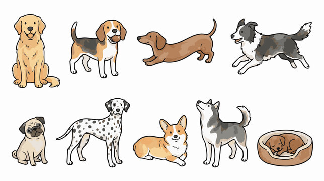 Hand-drawn dog breed illustrations, set of 9 cute canine character vectors. Cartoon pet animals including golden retriever, pug, and corgi.