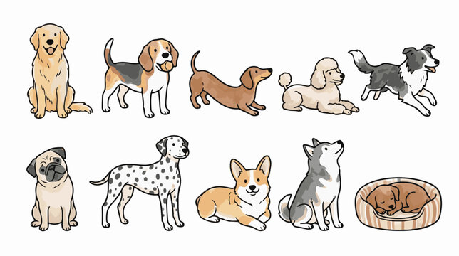 Hand-drawn dog breed vector set, cute puppy illustrations in watercolor style, collection of 10 pet icons for veterinary and animal care design