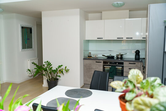 Bright modern apartment interior featuring a compact kitchen with white cabinets, built-in oven, stovetop, refrigerator. 