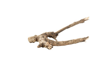 Fototapeta premium Dry tree branch isolated on white background with clipping path.