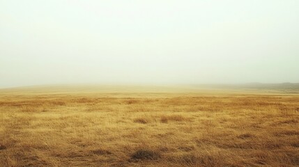 Obraz premium Minimalist Landscape Featuring Early Autumn Fog Over A Large Open Field With Muted Earthy Tones.