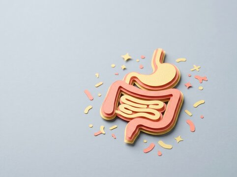 Colorful Paper Cutout of Digestive System with Decorative Elements on a Soft Background