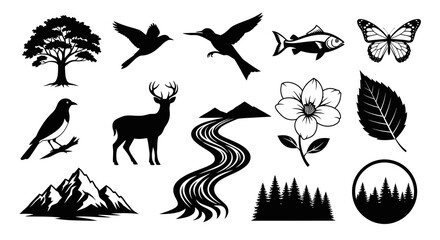 Fototapeta premium Wild Nature and Landscape Vector Collection