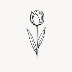 Obraz premium Minimalist black line drawing of a tulip on a plain white background.