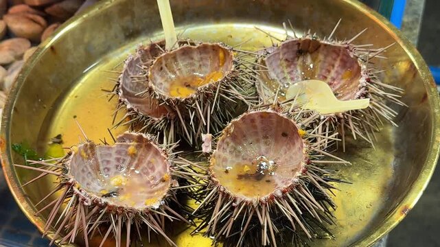 Empty eaten sea urchins