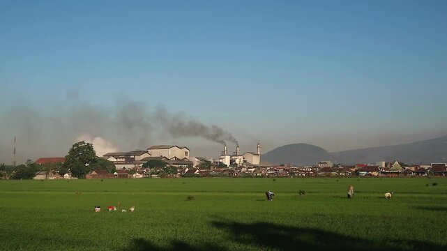Industrial factory emitting smoke over a rural green rice field landscape.