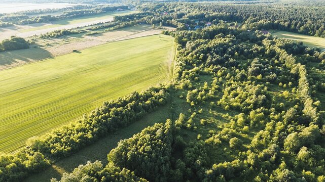 Scenic golden hour in European countryside with trees