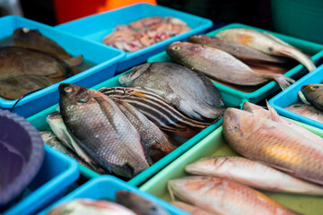 Fresh Raw Fish and Seafood Arranged in Trays at Local Market © tryputroutomo