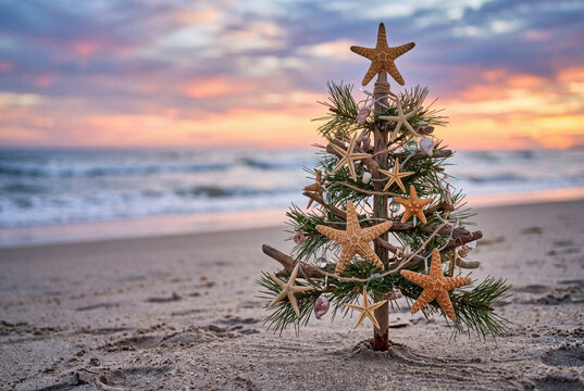 Small christmas tree decorated with starfish on a sandy beach at sunset for coastal holiday background and seaside wallpaper design