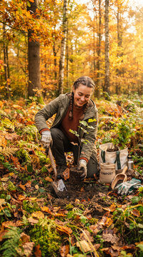 Persona plantando un &aacute;rbol en un bosque oto&ntilde;al, concepto de reforestaci&oacute;n, sostenibilidad, conservaci&oacute;n de la naturaleza y protecci&oacute;n del medioambiente.