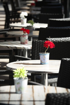 perspective of table decorated with colorful flowers in outdoor cafe 