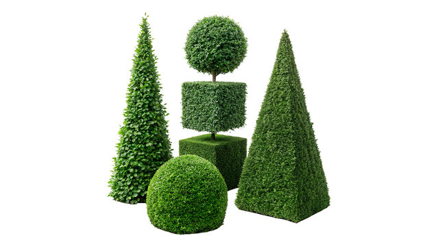 Decorative green topiary trees various shapes sphere cone spiral garden design isolated on transparent background