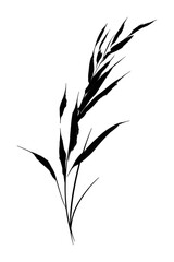 Fototapeta premium PNG Minimalist black ink botanical illustration.