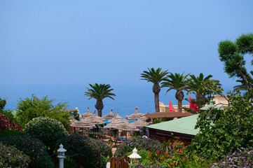Fototapeta premium Coastal resort with palm trees and straw umbrellas overlooking the sea in Tangier