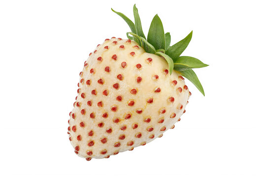 Single white strawberry pineberry with red seeds and green leaves, isolated on transparent background
