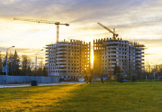 construction site with cranes and urban growth in progress under trees and streetlights.