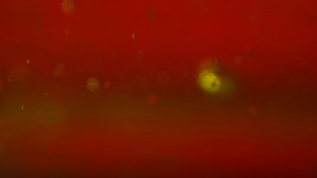 Macro view of oil bubbles suspended in a glowing red liquid with soft highlights and texture. Concept abstract background, food ingredient, cosmetic fluid, branding, packaging and creative design.