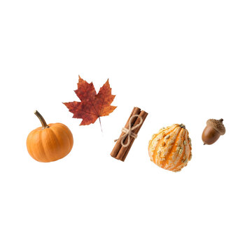 Floating Autumn Elements with Pumpkin Gourd Maple Leaf Cinnamon and Acorn PNG