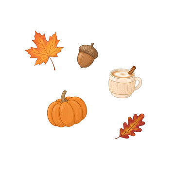 Hand Drawn Autumn Cozy Clipart Elements Pumpkin Latte Acorn and Leaves PNG