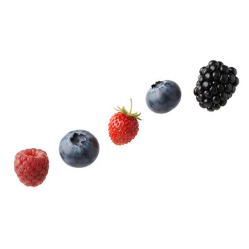 Row of Floating Mixed Berries Raspberry Strawberry Blueberry and Blackberry PNG