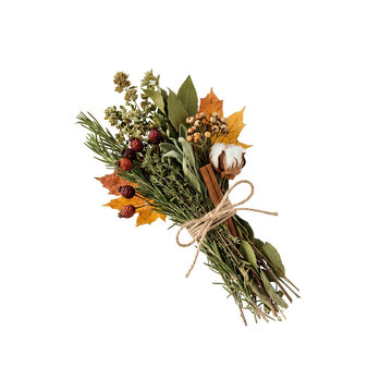 Rustic Herb Bundle with Rosemary Sage Cinnamon and Cotton PNG