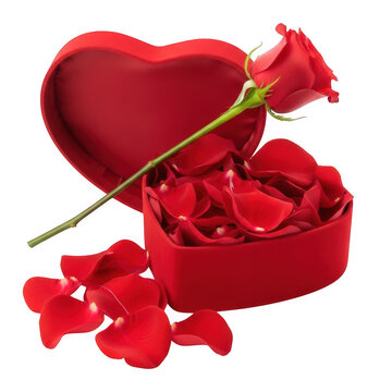 Red rose and heart shaped gift box with petals