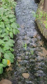 Clear Artificial Stream Flowing Along the City Park Promenade Path