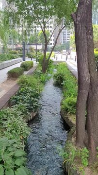 Clear Artificial Stream Flowing Along the City Park Promenade Path