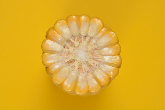 A top down view of a round yellow sweet corn cob cross section centered on a matching solid yellow background.