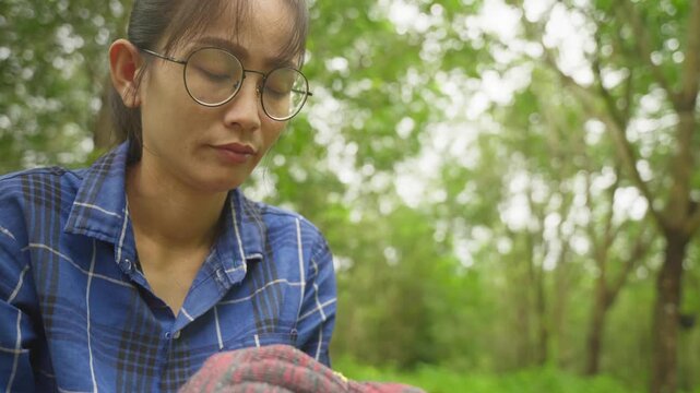 Authentic Thai rubber farmer working outdoors in a rubber plantation.