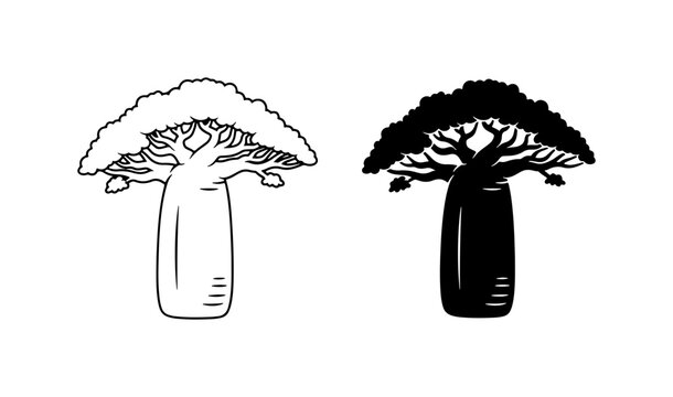 Baobab Tree Vector Icons, African Symbol, Silhouette and Outline, Nature Element
