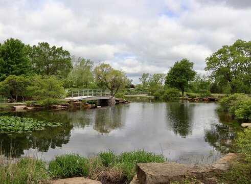 The peaceful pond in the countryside on a cloudy day.