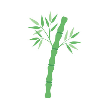 Bamboo icon shows green plant leaves and stalk on a white background