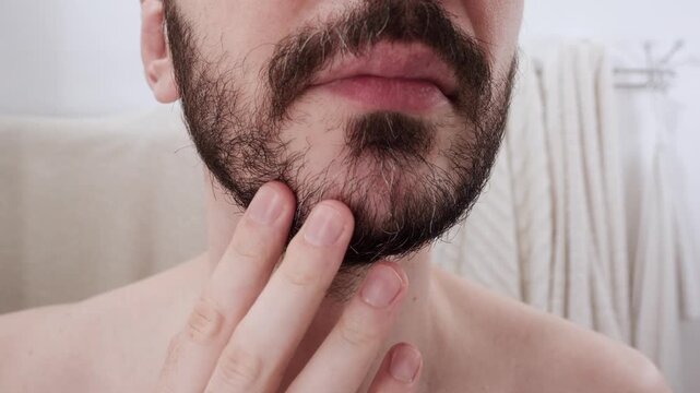 Bearded man examining his beard closely, checking for gray hairs beginning to appear in his facial hair