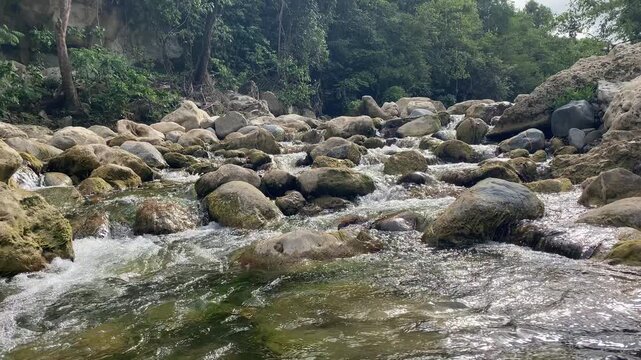 Rio Yasica Puerto Plata