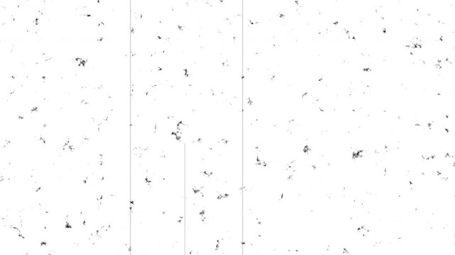 Scattered black ink specks on white minimal grunge paper texture