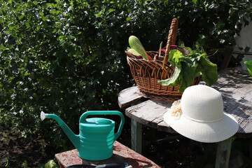 Wholesome, natural vegetables from the garden—such as zucchini, beets, greens, potatoes, and carrots—are gathered in a large wicker basket  gardening and harvesting tools, including a rake, a trowel,  © Наталья Николаева