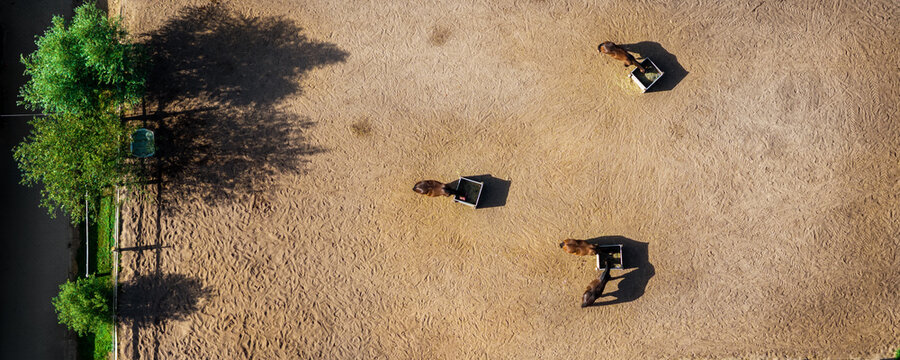 Top-down drone view shows four horses feeding from metal hay boxes inside sandy paddock enclosed by electric fencing. Textured ground, hoof marks and sparse manure create rural equestrian pattern