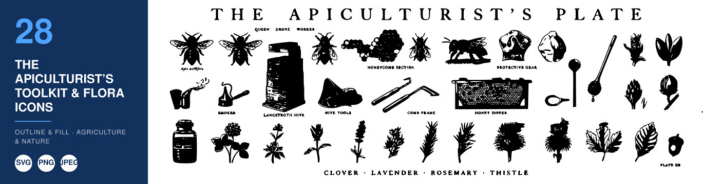 Beekeeping Tools and Apiary Equipment Displayed Beneath the Apiculturist's Plate Heading in a Vintage Engraved Chart with Hives, Smokers, Bees, and