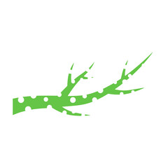 Fototapeta premium Green Branch and Leaf Botanical Illustration Isolated on White Background, Natural Foliage Element for Garden, Eco, Organic and Nature Design