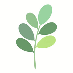 Fototapeta premium Green Leaf Branch Botanical Illustration Isolated on White Background, Fresh Foliage Element for Garden, Organic, Eco Friendly and Nature Design