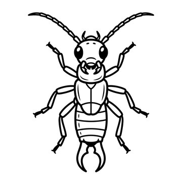 Isolated black and white earwig insect illustration