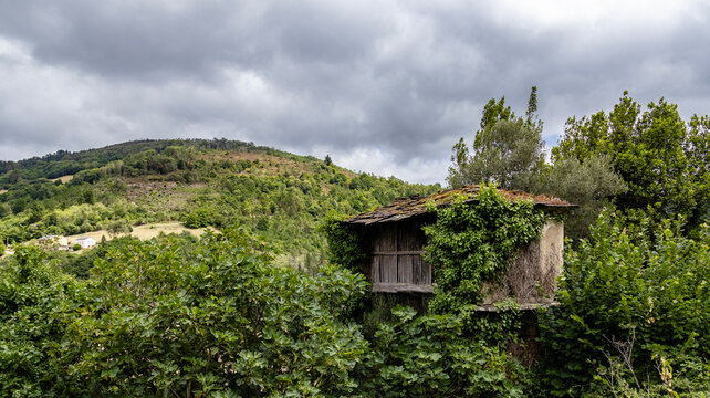 Old tradicional granary covered in ivy among mountains and forests