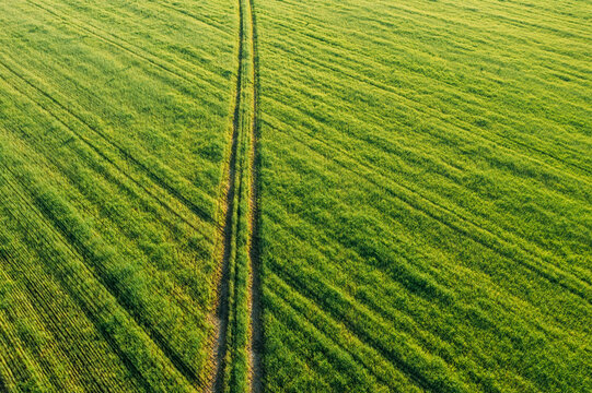 Aerial view of country road through green field rural landscape in summer. Top view of countryside road in summer field rural landscape from high attitude. Natural green field background with trails