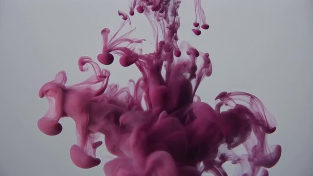 Deep plum ink feathers and disperses through clear water in soft continuous tendrils, spreading gently under even overhead lighting against soft grey with elegant minimalist fluid motion.