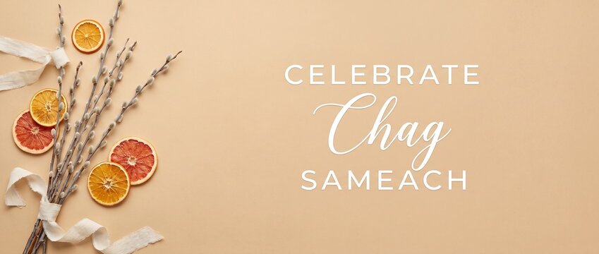 Chag Sameach Jewish holiday greeting card with pussy willow bouquet, dried orange slices, and ribbon on beige background for Passover, Sukkot, or Purim celebration header design with copy space
