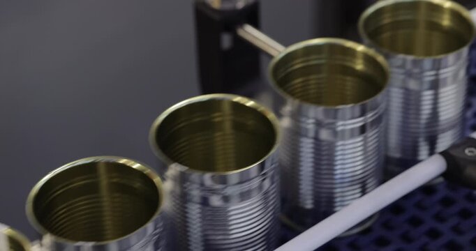 Unsealed metal cans pass along segmented conveyor in controlled batches. Guided transport system keeps food containers aligned before filling and sealing stage