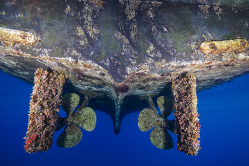 Marine growth on a boat  © Sakis Lazarides
