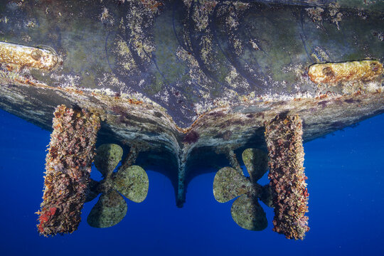 Marine growth on a boat 
